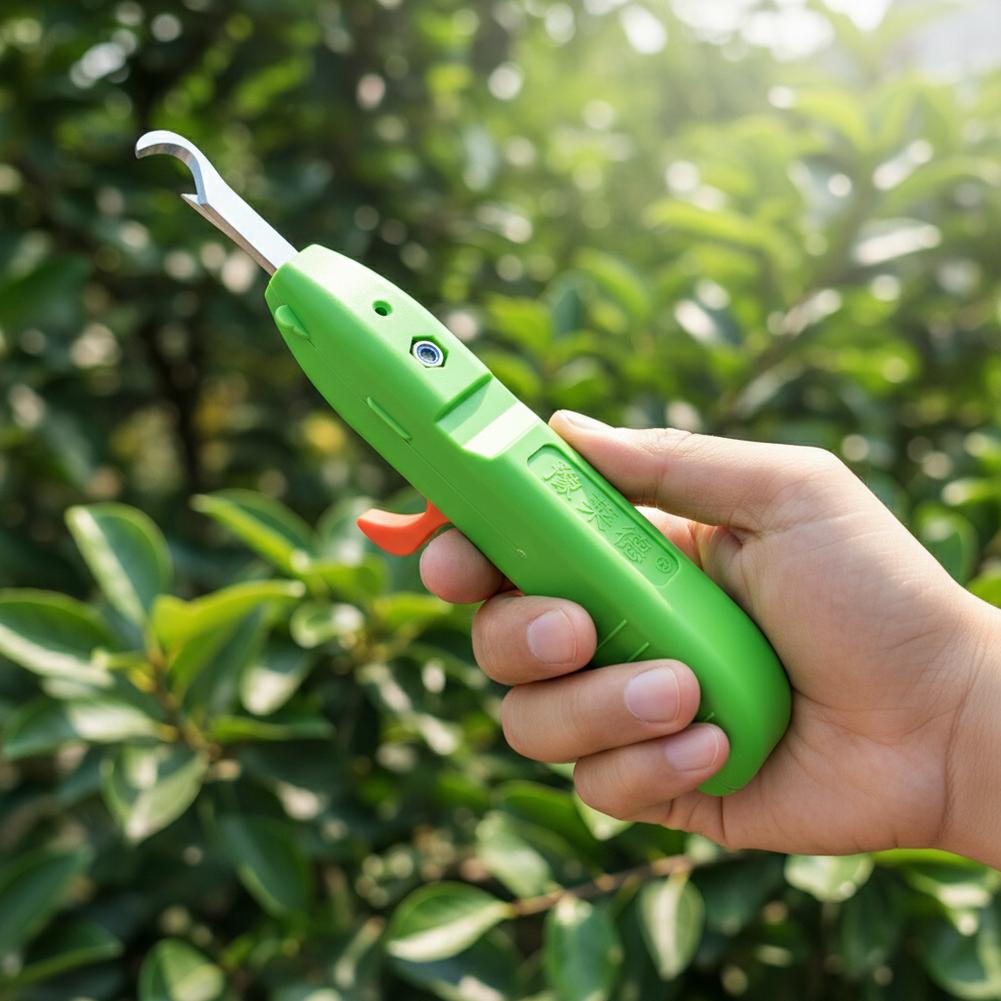 Tijeras para recoger frutas y  - Gardening Tools Vegetables reseña y precio