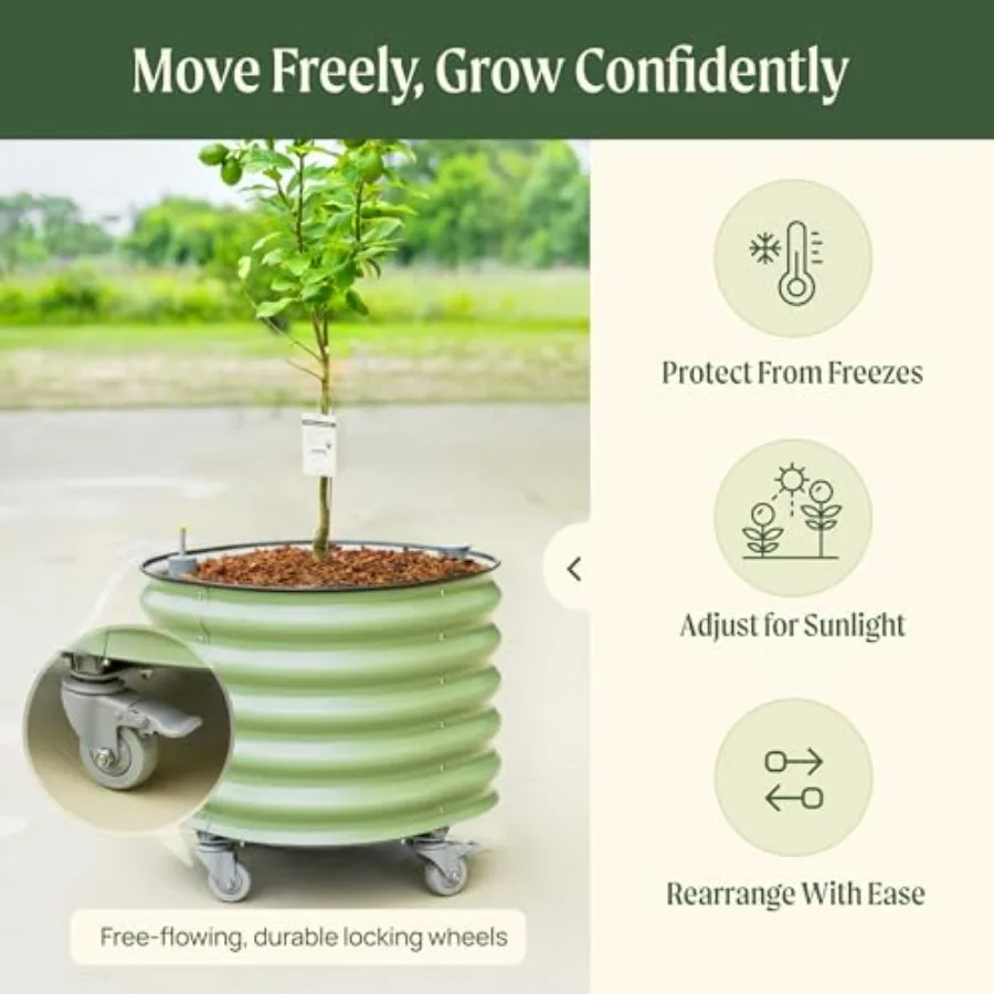 Macetero rodante para árboles  - Self-Watering Planter reseña y precio