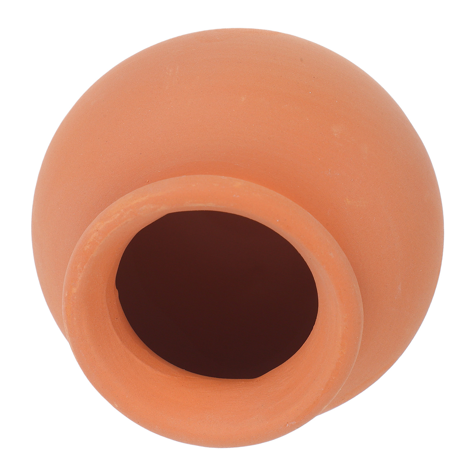 Espigas de terracota con siste - Automatic Plant Waterer reseña y precio